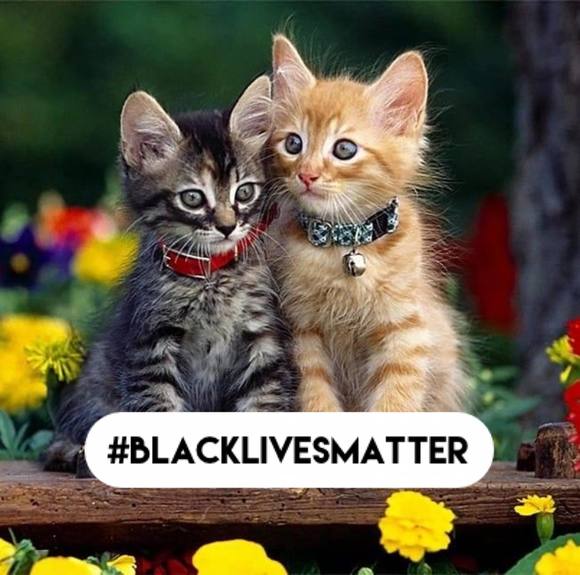 Meet your Posher, Katie - Picture 1 of 1